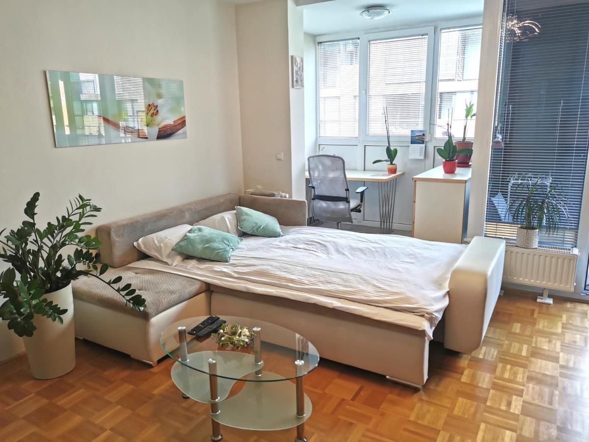 Cozy Apartment Ljubljana With Free Parking And Balcony ภายนอก รูปภาพ